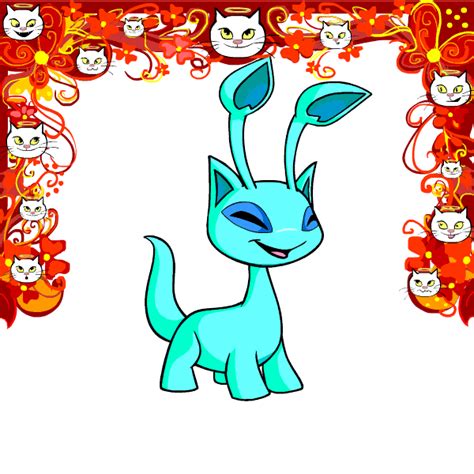 Neopets magic shpo